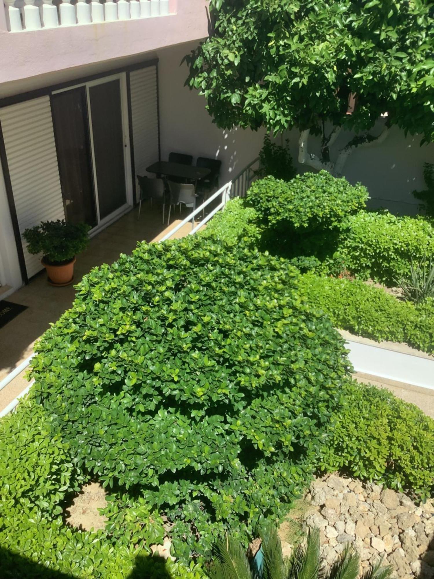 Hébergement de vacances Kallipateira
